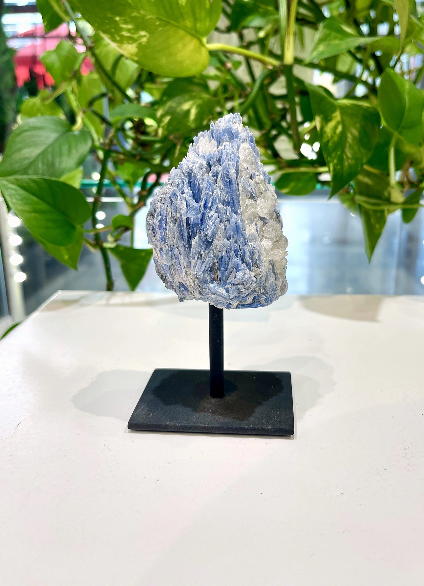 Kyanit Niebieski na stojaku nr. 247 — ujęcie 3 — biżuteria Brazi