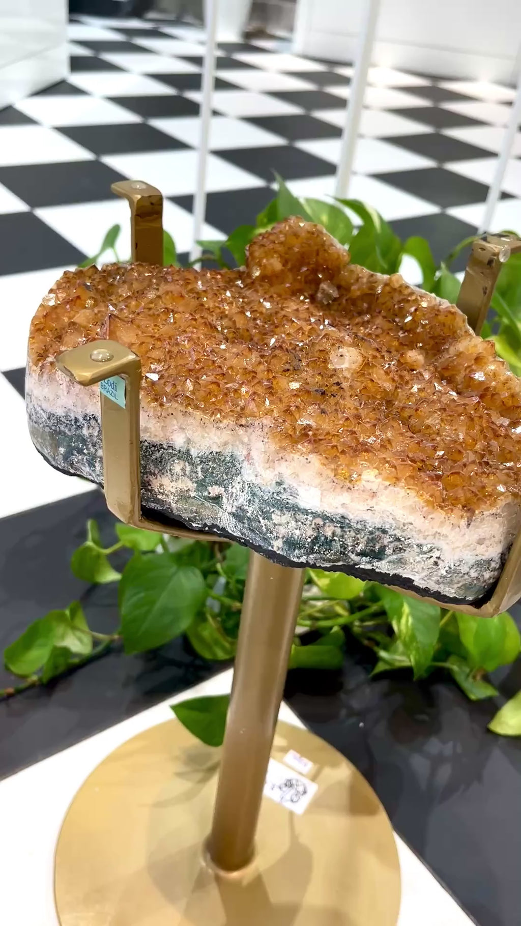 Stolik z Cytrynem Druza 8,45kg nr. 243 — film prezentujący okaz — Brazi