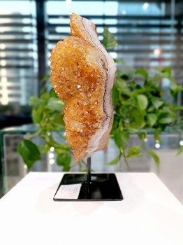 Szczotka cytrynu na podstawce widziana z boku, warstwowa struktura kryształów i skały macierzystej, marka Brazi.