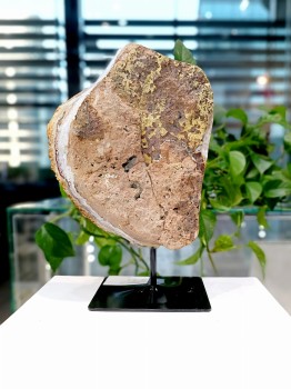 Naturalna surowa skała szczotki cytrynu, widok z tyłu ukazujący beżowo-brązową teksturę minerału, biżuteria Brazi.