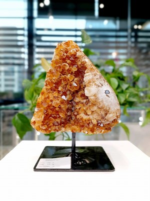 Naturalna szczotka cytrynu na czarnej podstawce, dekoracyjny minerał o intensywnym kolorze, biżuteria Brazi.