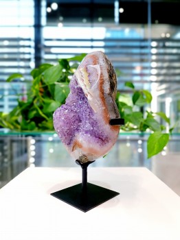 Szczotka ametystu z Urugwaju z profilu, trójwymiarowa struktura krystaliczna, Brazi