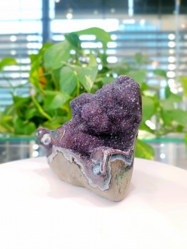 Fioletowa szczotka ametystowa z Urugwaju, dekoracja Brazi Druse Jewelry.