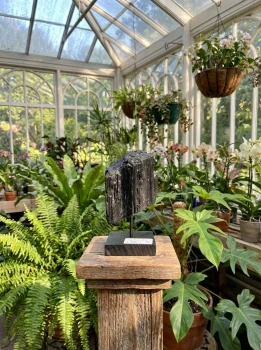 Czarny Turmalin na podstawce nr. 225 - aranżacja wnętrza