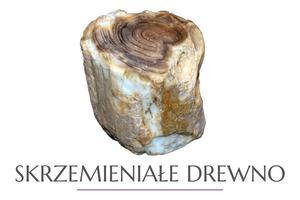 Skrzemieniałe Drewno